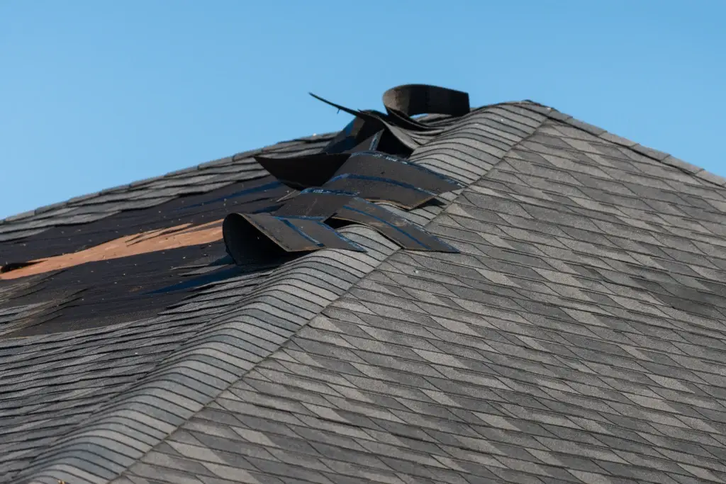 Roof Repair Services